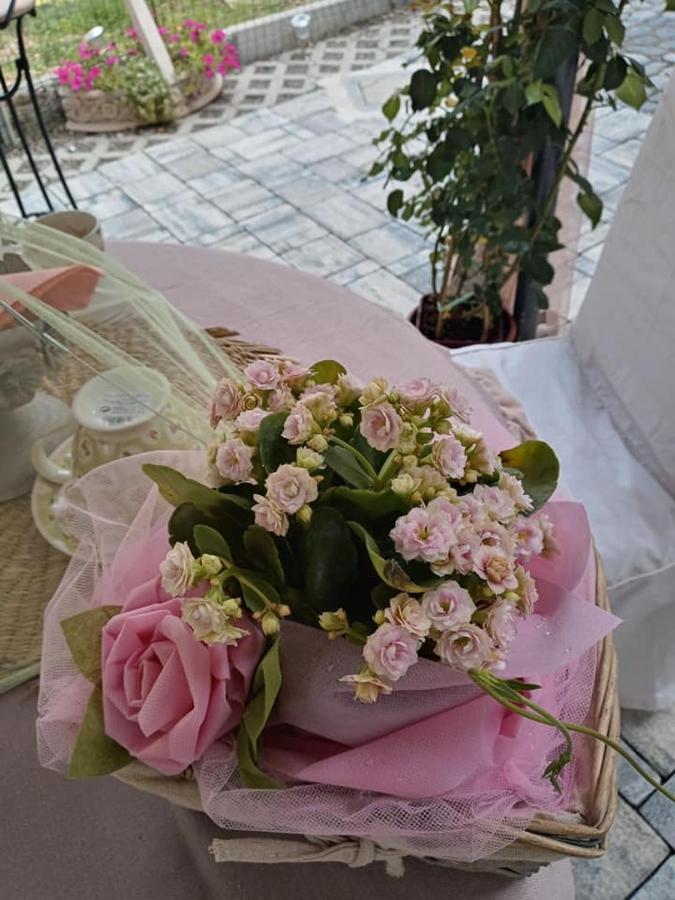 Bb Lady Bed & Breakfast Кастелветро ди Модена Екстериор снимка